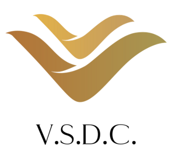 vsdcedutech.com
